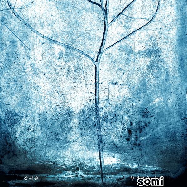 Image Cover